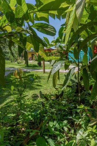 caminhos-praia-vila-jacaa-enseada-ubatuba11