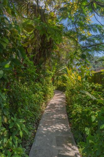 caminhos-praia-vila-jacaa-enseada-ubatuba2