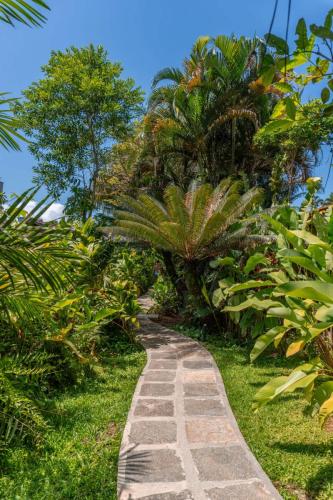 caminhos-praia-vila-jacaa-enseada-ubatuba3
